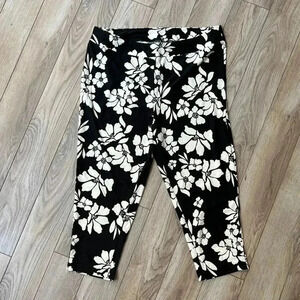 Terra & Sky Leggings size 1x